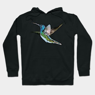 Hummingbird Hoodie